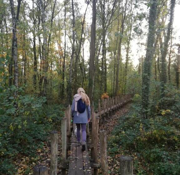 B&b De Stuifduinen