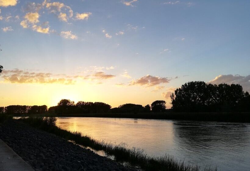 B&b De Stuifduinen