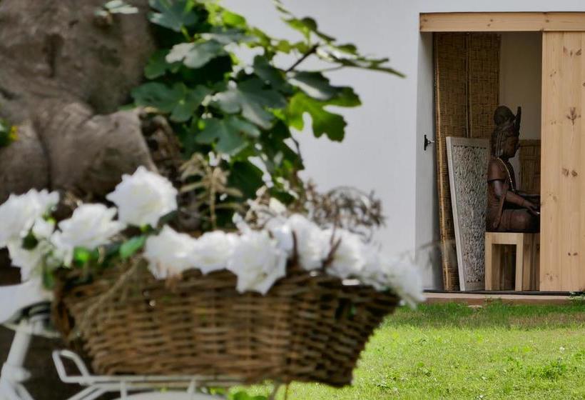 تختخواب و صبحانه Boho Suites Denia