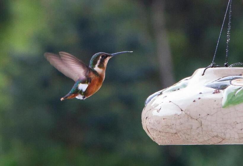 هتل Termales Tierra Viva