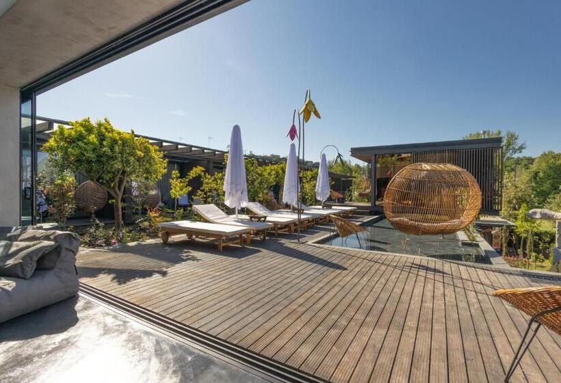 住宿加早餐  Vale De São Torcato Hotel Rural