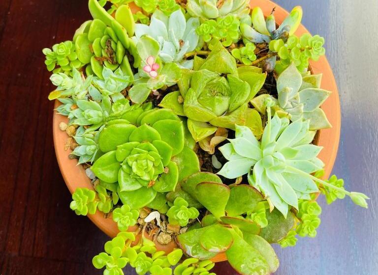 Rom Casa Hostel Da Nang