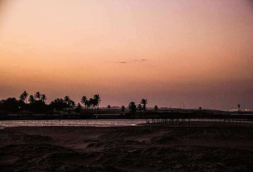 הוסטל Freedom Kite House