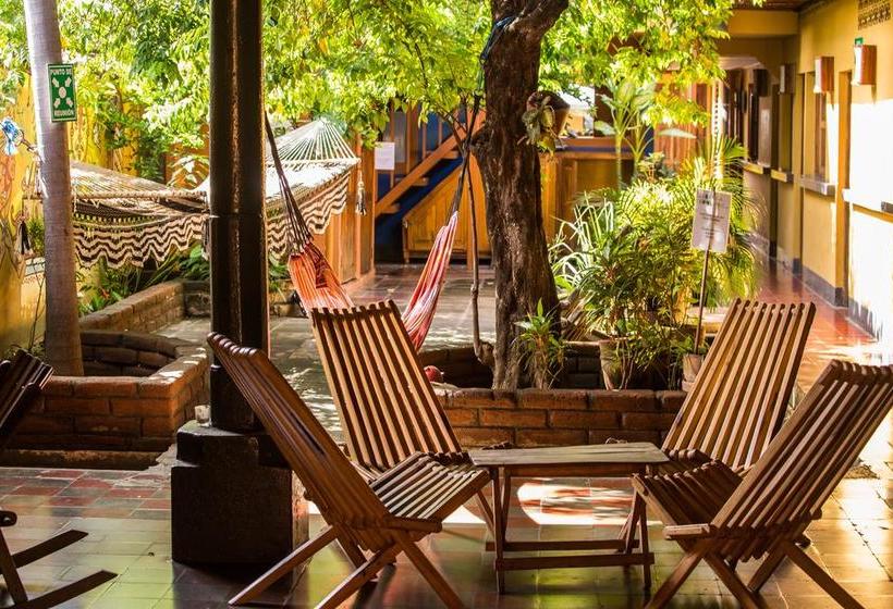 هاستل Hostal La Tortuga Booluda