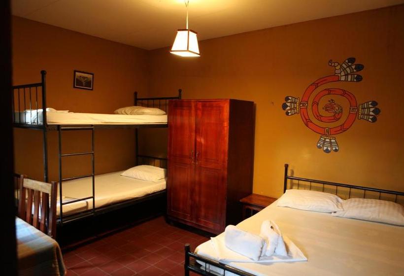 هاستل Hostal La Tortuga Booluda