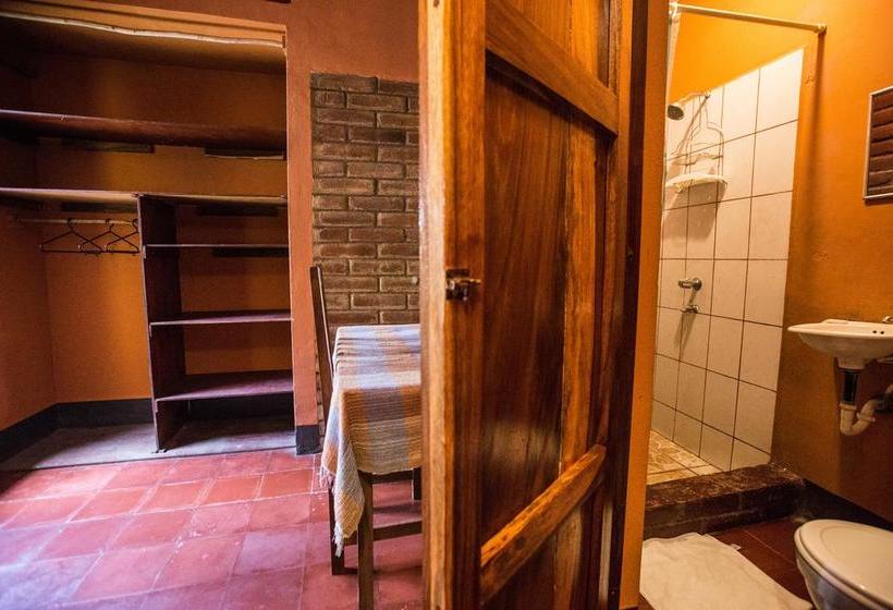 هاستل Hostal La Tortuga Booluda