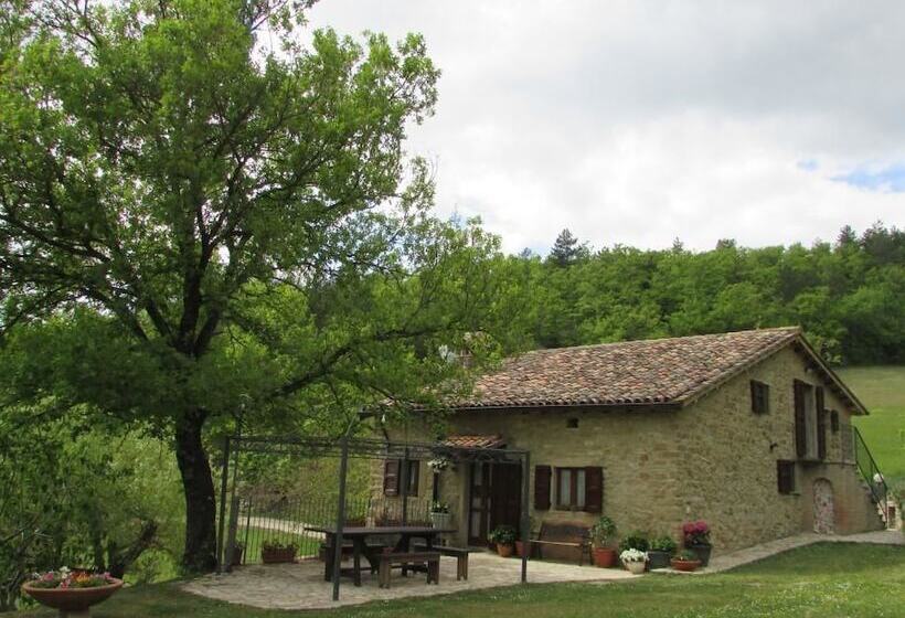 住宿加早餐  Le Querce Di Campolungo