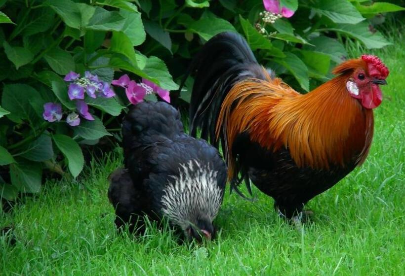 Bed and Breakfast De Turfstaeker