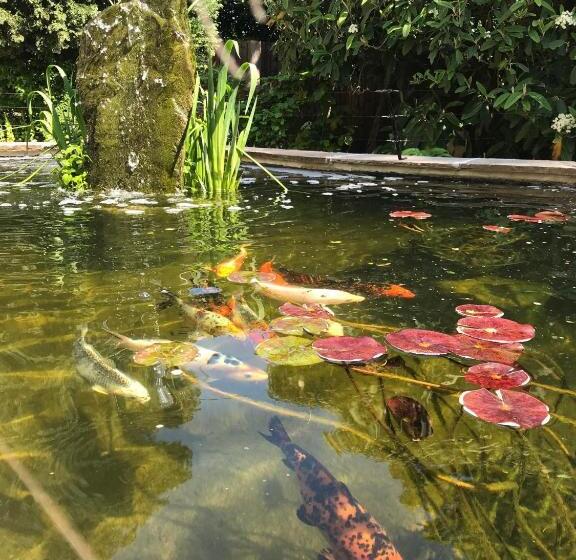 تختخواب و صبحانه Tresillian House