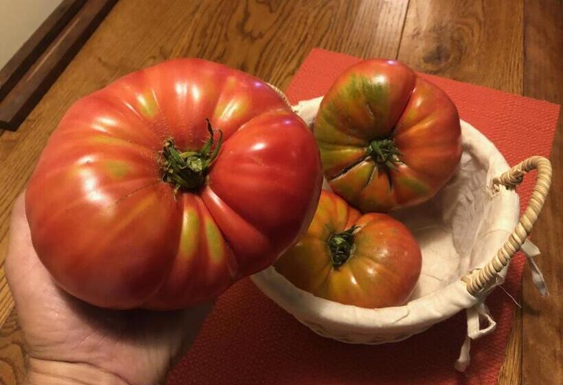 ホテル Boutique Bc Wine Casablanca