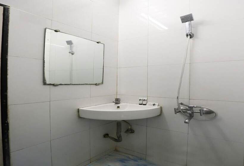 Отель Shree Plaza