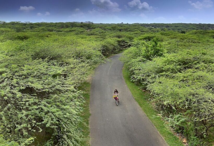 渡假胜地  The Lalit Mangar