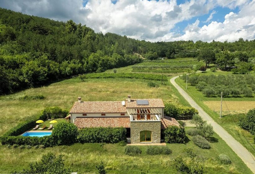 פנסיון Villa Dol