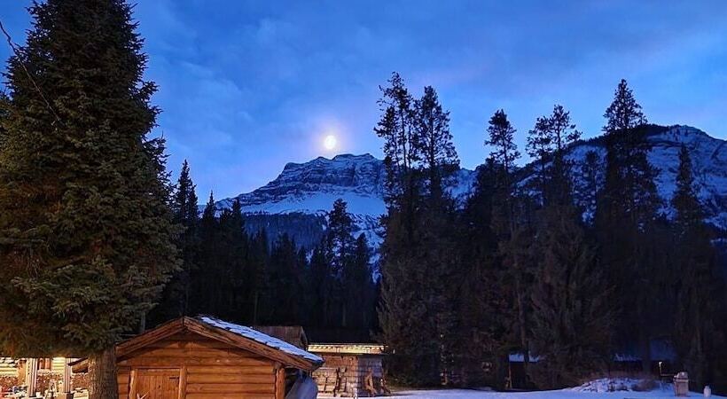 Отель Grizzly Lodge