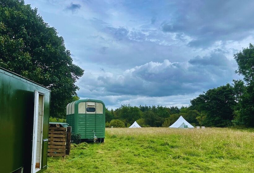 فندق The Bells   South Berrington