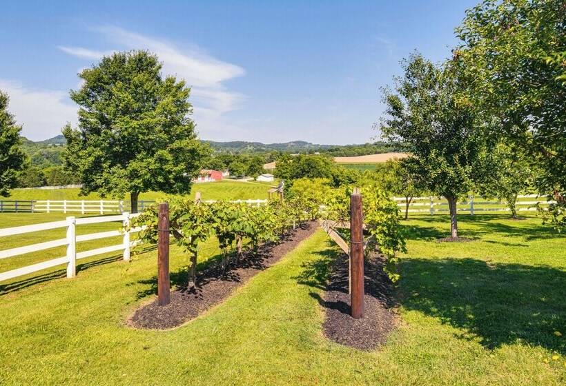 Rustic Retreat In Hickman On 160 Acres W/ Views!