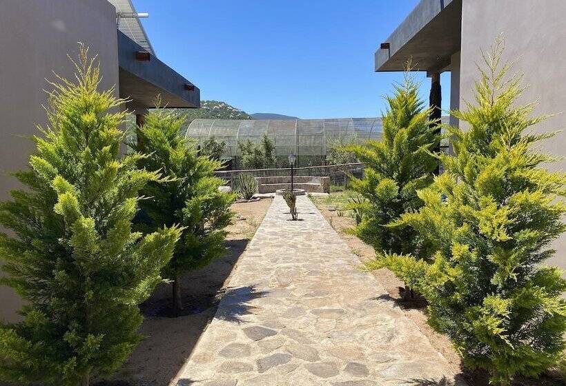 Coquenas Del Valle