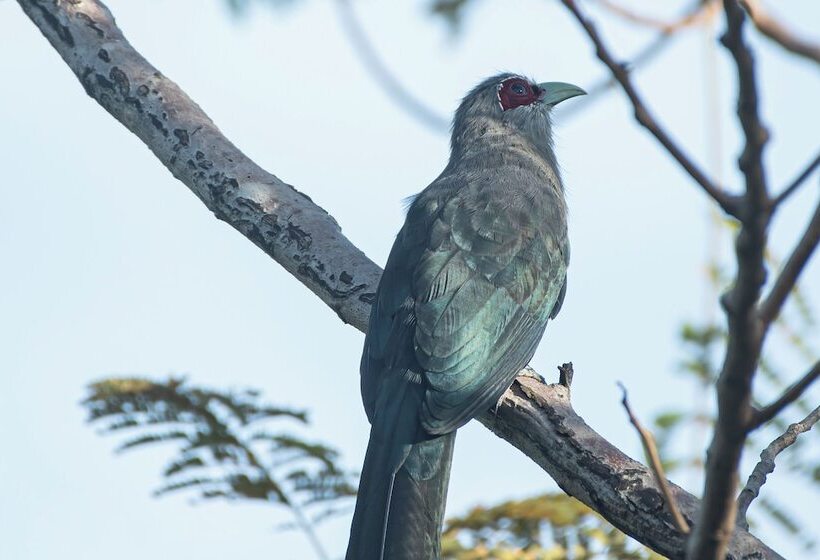 酒店 Coconut Lane Bangkok