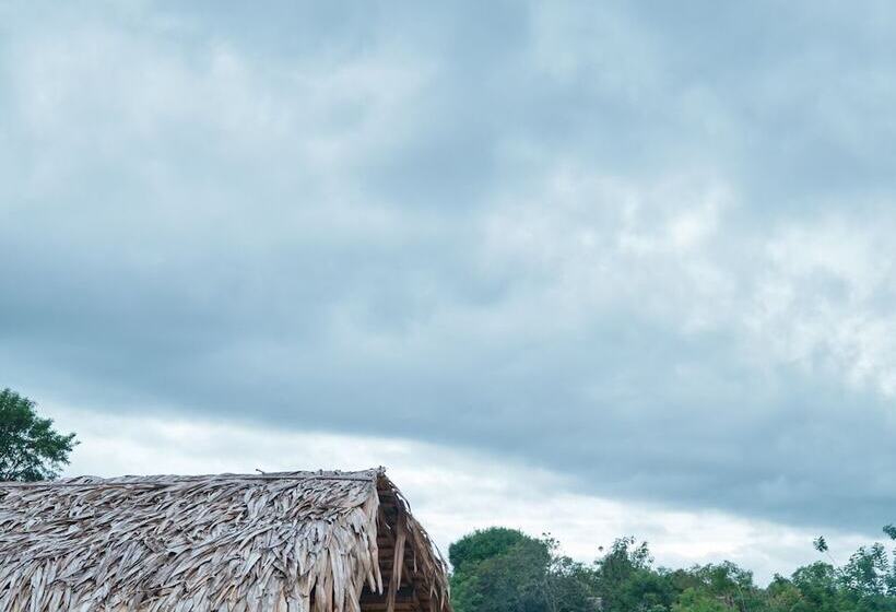 ホテル Forest Lodge Eco Camp