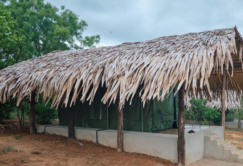 ホテル Forest Lodge Eco Camp