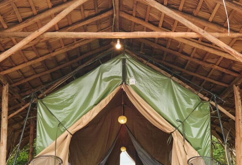 ホテル Forest Lodge Eco Camp