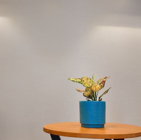 Fortune Select Candolim, Goa   Member Itc Hotels  Group