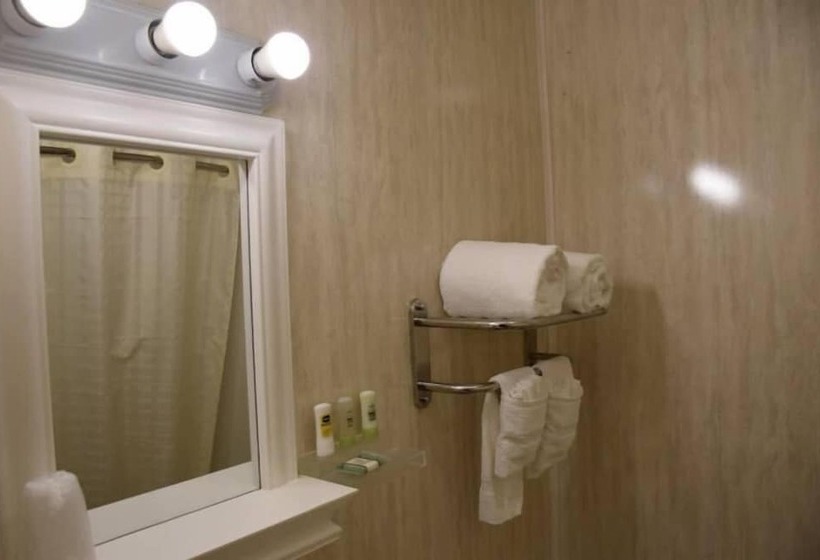 فندق على الطريق Relax Inn Elmira