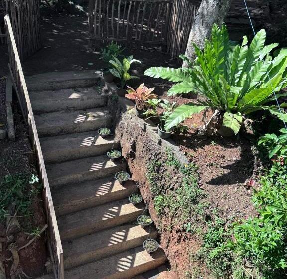 פנסיון Green Nature