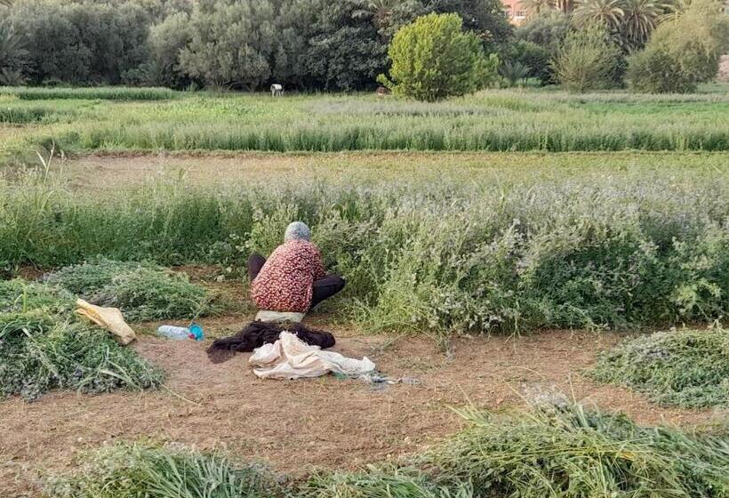 هاستل Hike And Chill Homestay