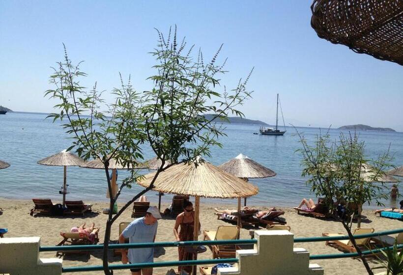 هتل Angeliki Beach