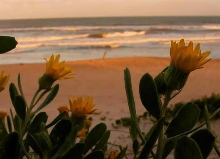 تختخواب و صبحانه Pousada Villa Morena