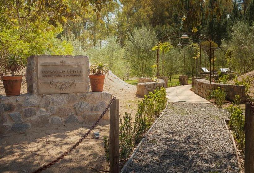 مبيت وإفطار Suites Camacho