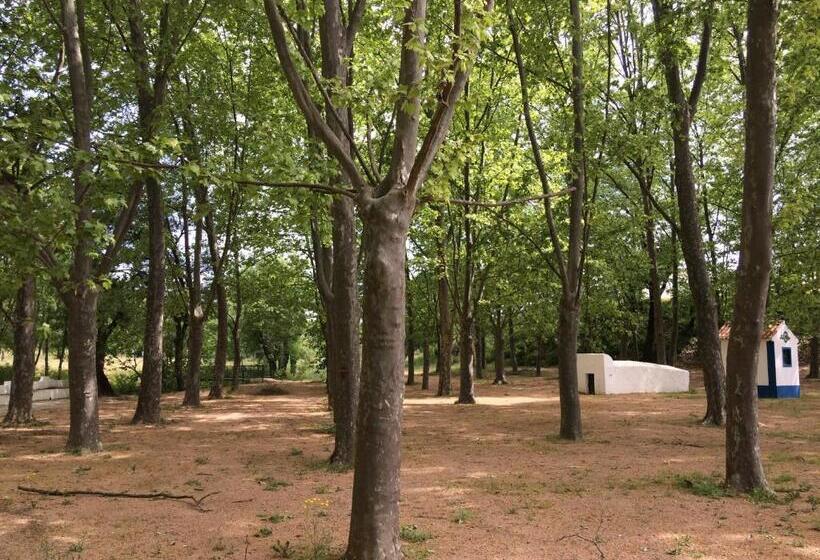 住宿加早餐  Termas Da Sulfurea