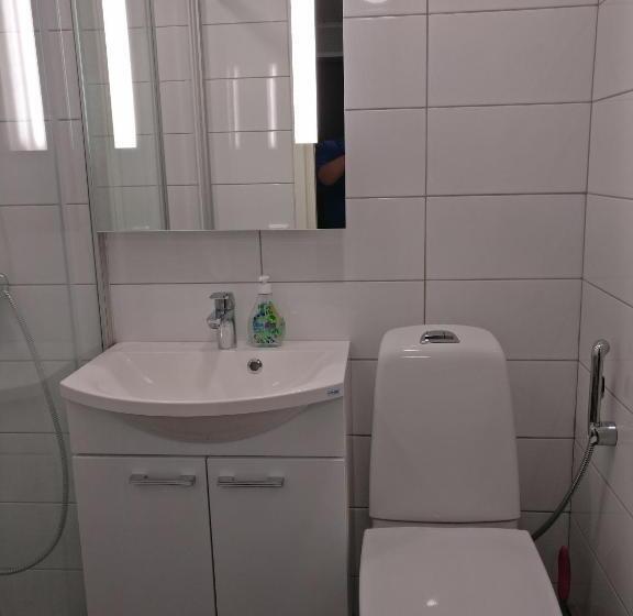 ベッドアンドブレックファースト Peltolan Luomutila