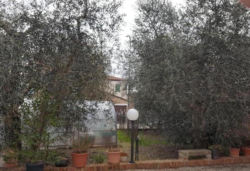 住宿加早餐  Orto Degli Ulivi