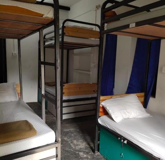 Hostelavie   Varanasi
