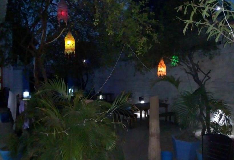Hostelavie   Varanasi