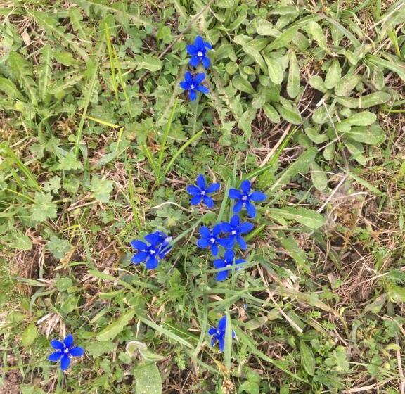 فندق Hôtel Les Skieurs