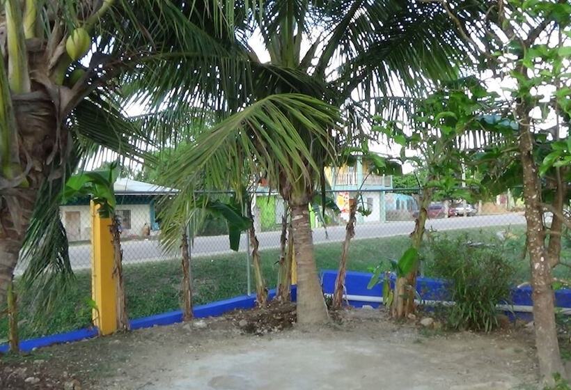 פנסיון Hacienda Tropical Guest House