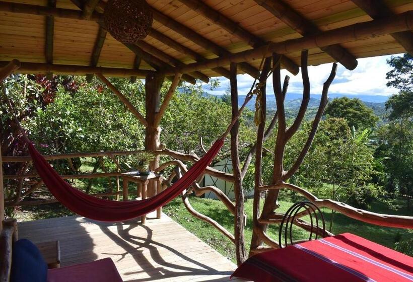 هتل La Casa De Francois