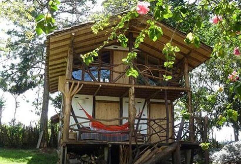 هتل La Casa De Francois