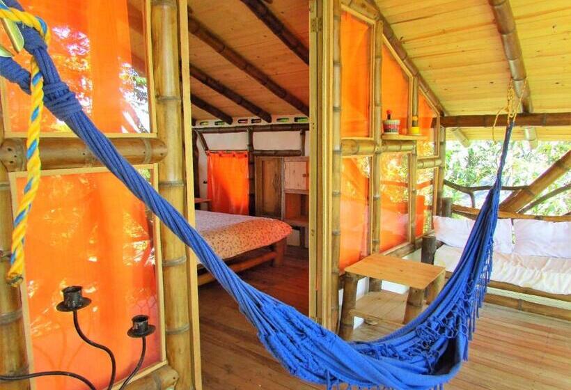 هتل La Casa De Francois