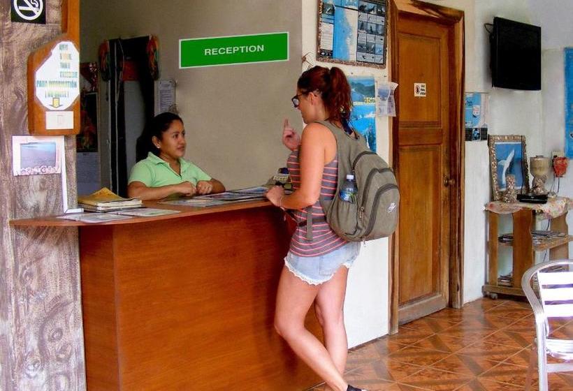 هاستل Hostal Maxima