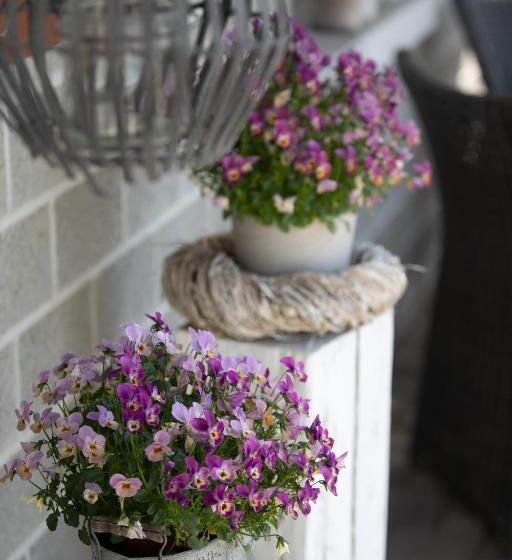 住宿加早餐  Studio Living..