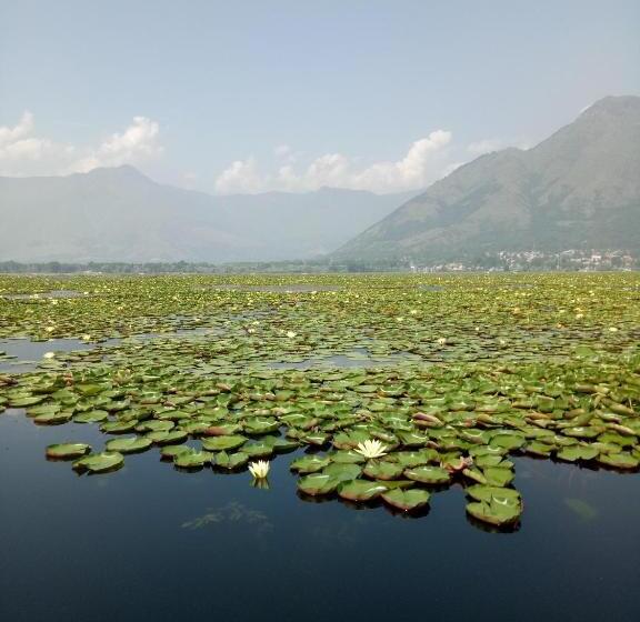 Bed and Breakfast House Boat New Pala Palace
