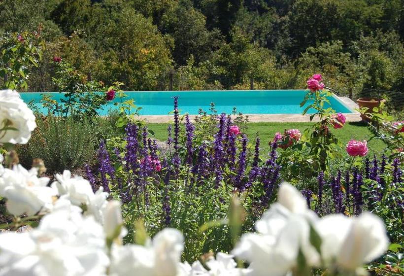 B&b Podere Il Colto