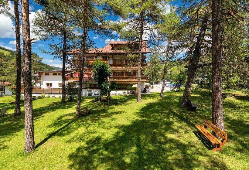 فندق Resa Blancia