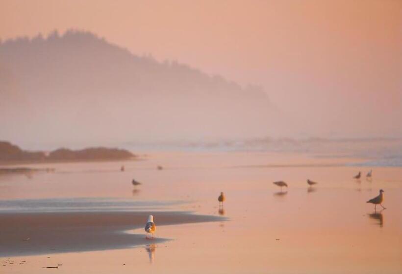 تختخواب و صبحانه Arch Cape Inn And Retreat