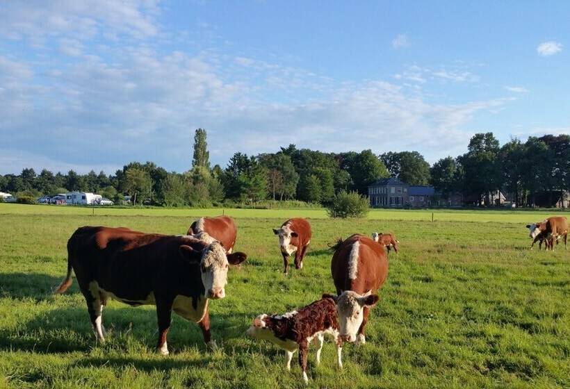 تختخواب و صبحانه Restaurant Roerdinkhof