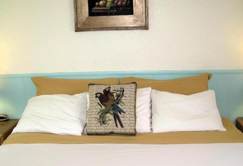 فندق Rocket Inn